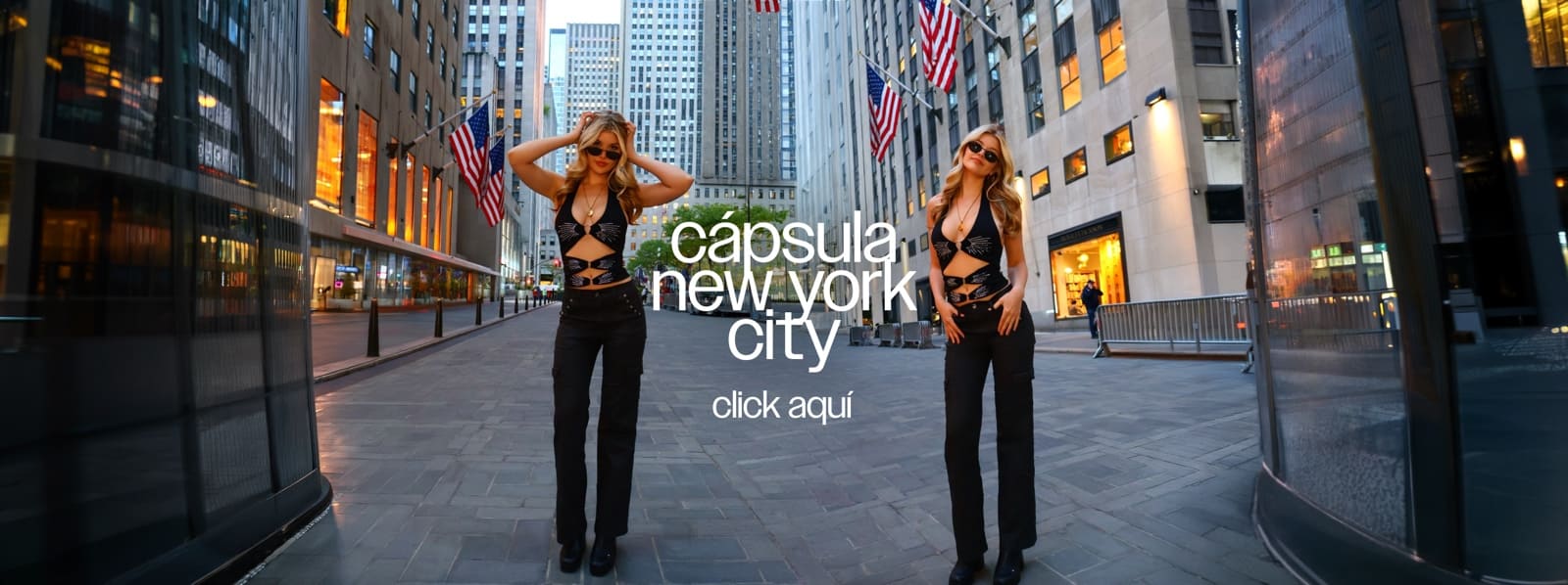 capsula3